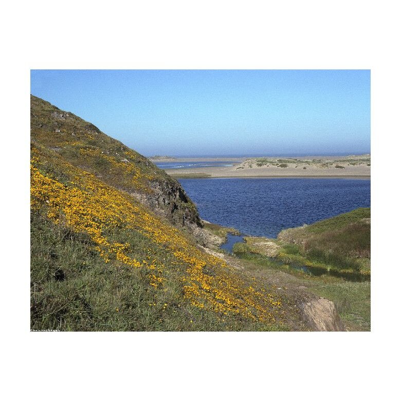 Tablou Canvas Natura, Dimensiunea 100x70 nat1802