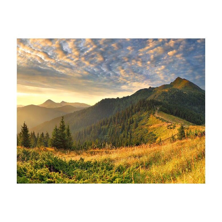 Tablou Canvas Natura, Dimensiunea 100x70 nat1944
