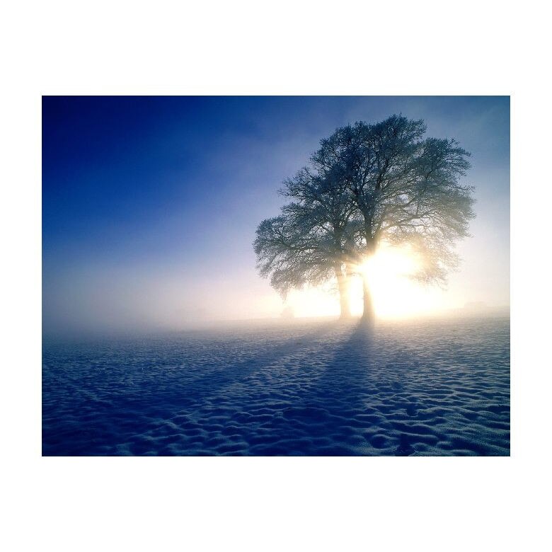 Tablou Canvas Natura, Dimensiunea 100x70 nat1815