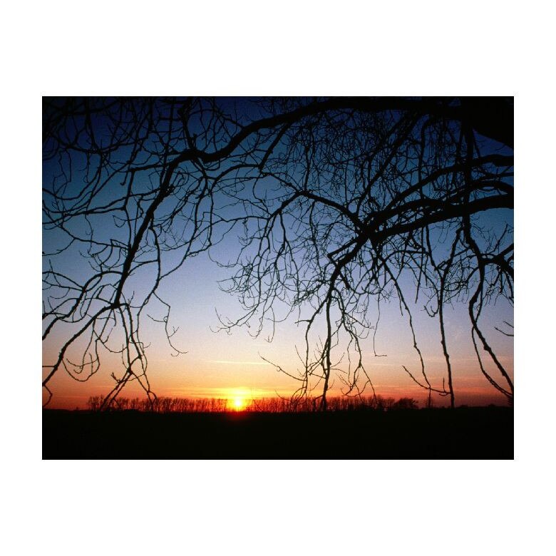 Tablou Canvas Natura, Dimensiunea 100x70 nat1819