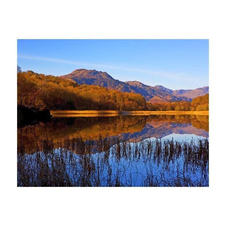 Tablou Canvas Natura, Dimensiunea 100x70 nat1903