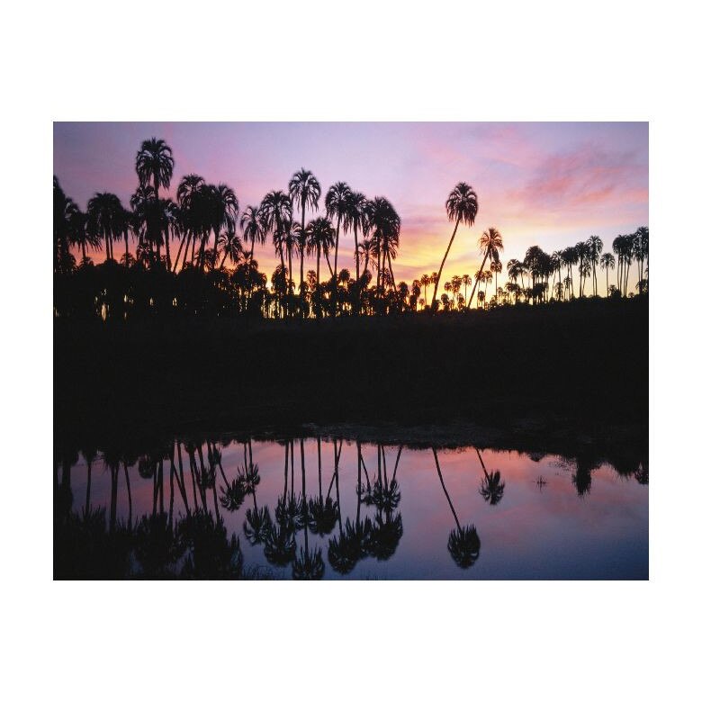 Tablou Canvas Natura, Dimensiunea 100x70 nat1933