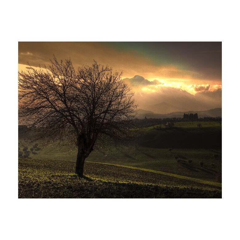 Tablou Canvas Natura, Dimensiunea 100x70 nat1932