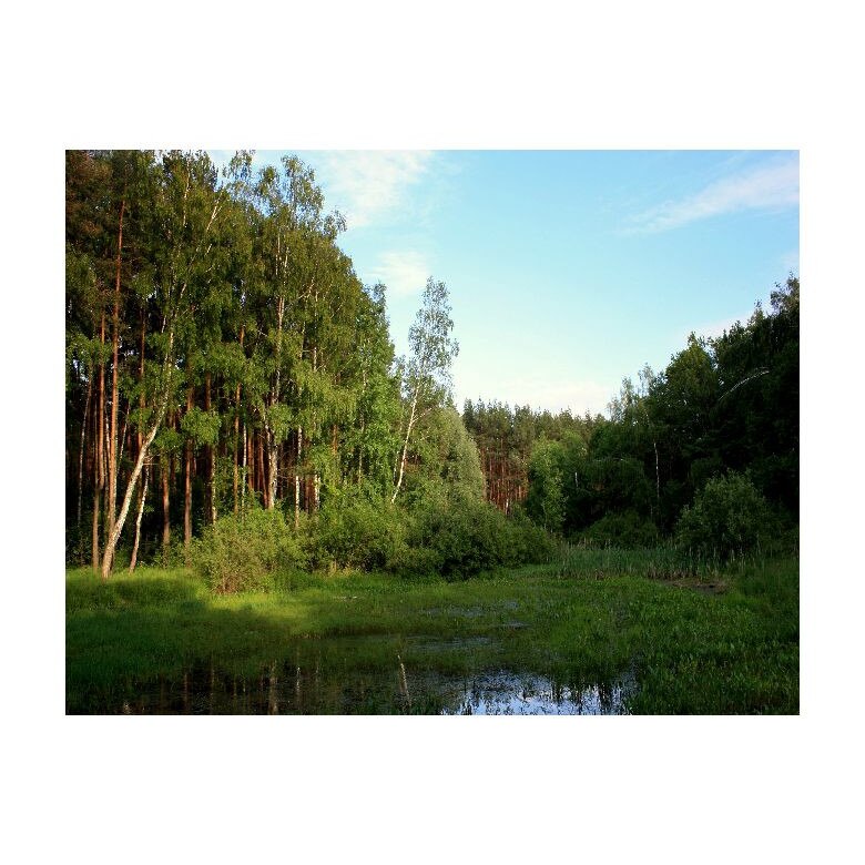 Tablou Canvas Natura, Dimensiunea 100x70 nat1845