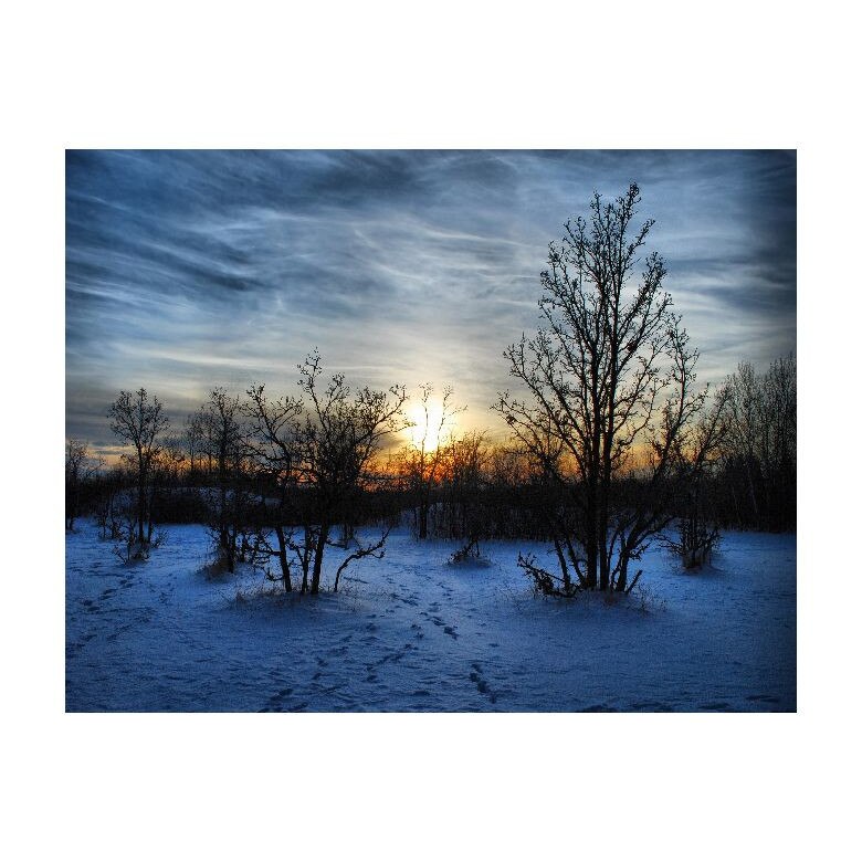 Tablou Canvas Natura, Dimensiunea 100x70 nat1930