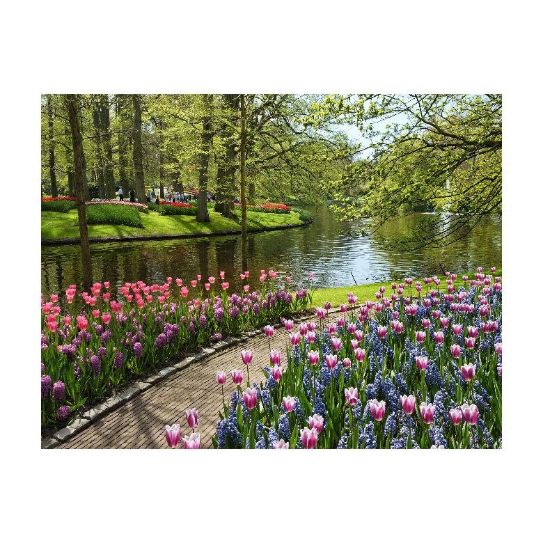 Tablou Canvas Natura, Dimensiunea 100x70 nat1854