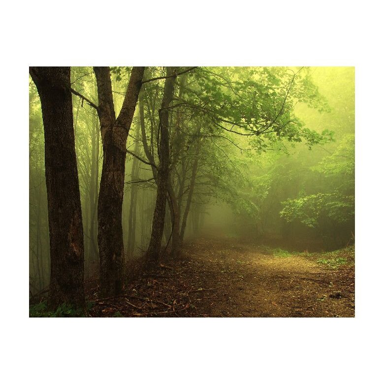 Tablou Canvas Natura, Dimensiunea 100x70 nat1869