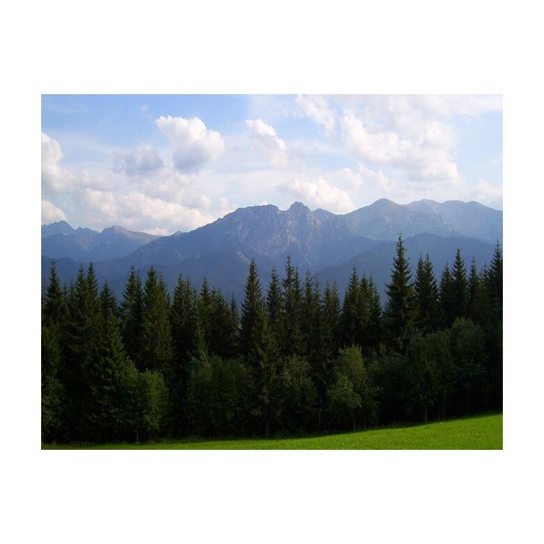Tablou Canvas Natura, Dimensiunea 100x70 nat1915