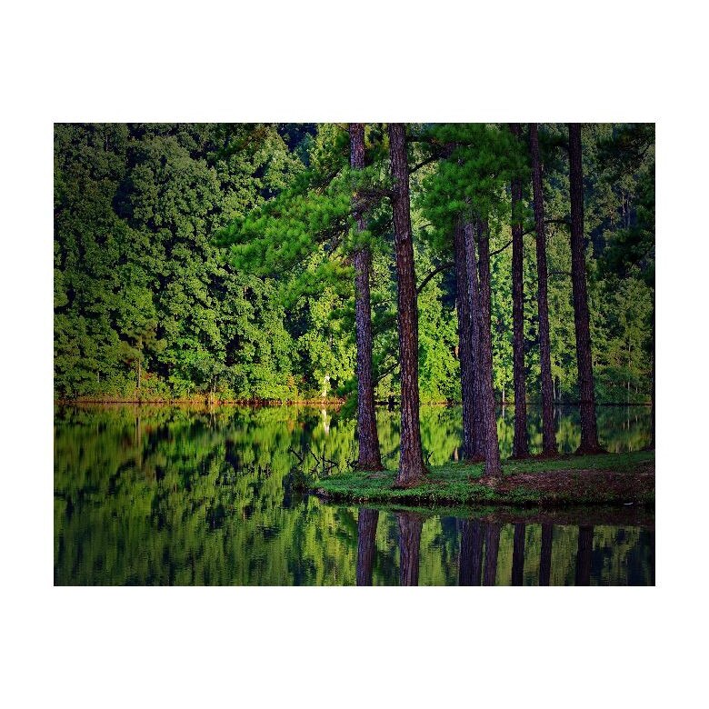 Tablou Canvas Natura, Dimensiunea 100x70 nat1924