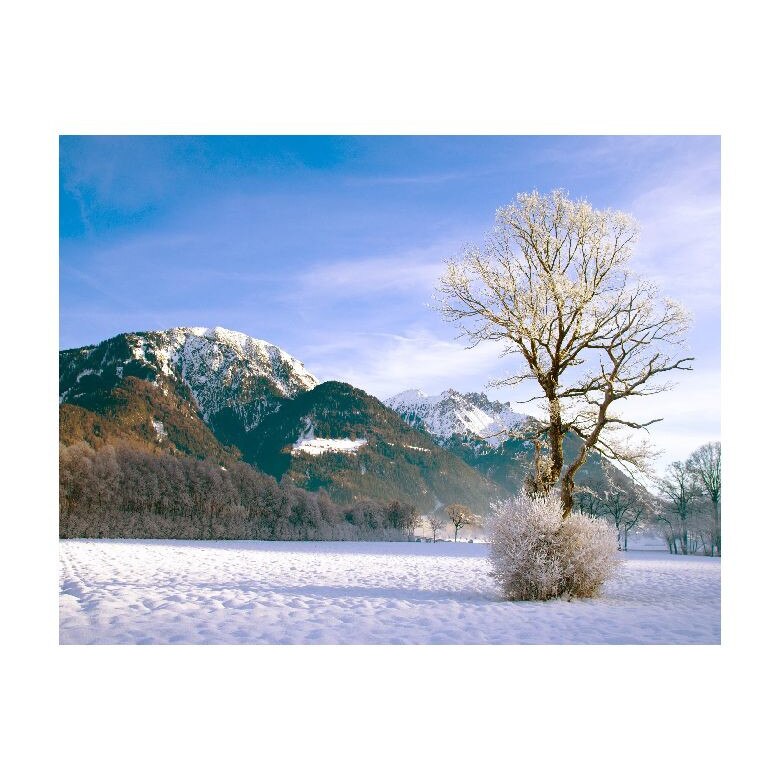 Tablou Canvas Natura, Dimensiunea 100x70 nat1952