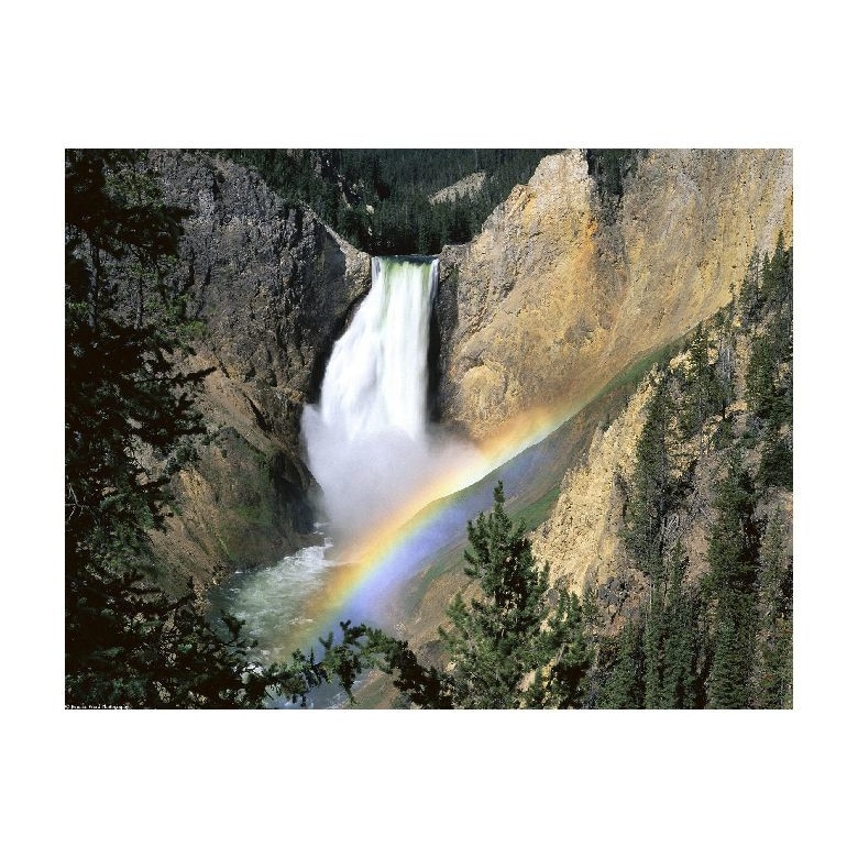 Tablou Canvas Natura, Dimensiunea 100x70 nat1833