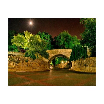 Tablou Canvas Natura, Dimensiunea 100x70 nat1983 Tablou Canvas Natura, Dimensiunea 100x70 nat1983