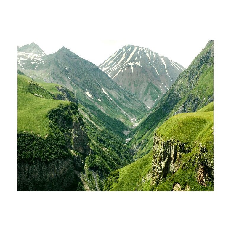 Tablou Canvas Natura, Dimensiunea 100x70 nat1967