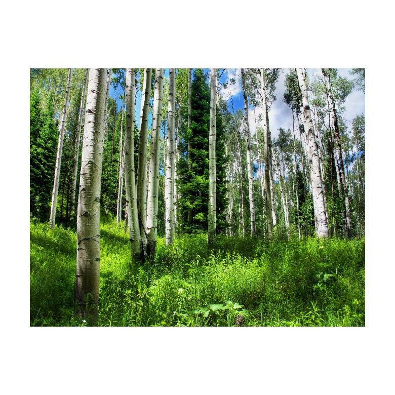 Tablou Canvas Natura, Dimensiunea 100x70 nat1963