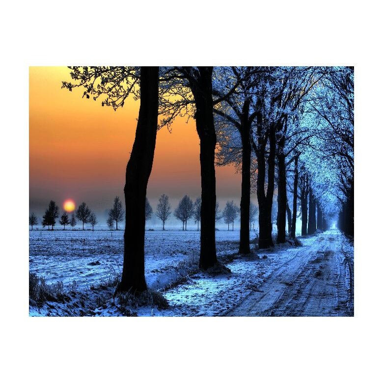 Tablou Canvas Natura, Dimensiunea 100x70 nat2073