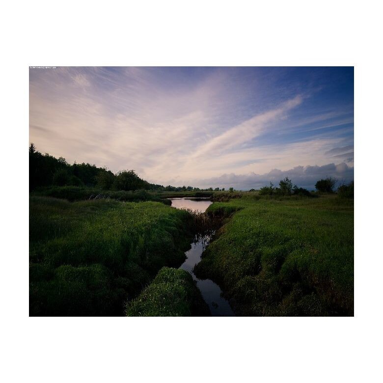 Tablou Canvas Natura, Dimensiunea 100x70 nat2070