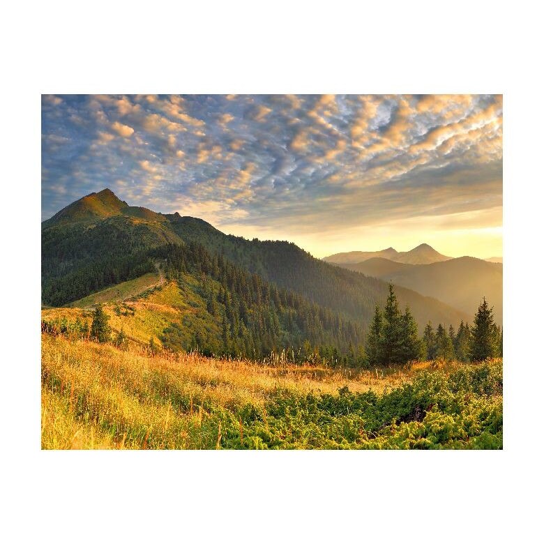 Tablou Canvas Natura, Dimensiunea 100x70 nat2036