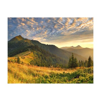 Tablou Canvas Natura, Dimensiunea 100x70 nat2036 Tablou Canvas Natura, Dimensiunea 100x70 nat2036