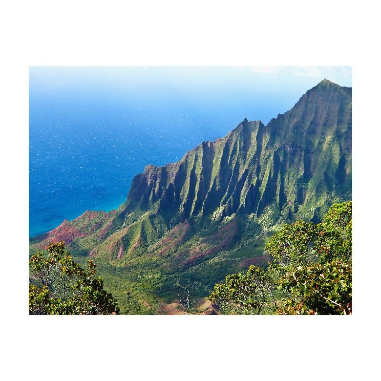 Tablou Canvas Natura, Dimensiunea 100x70 nat2063