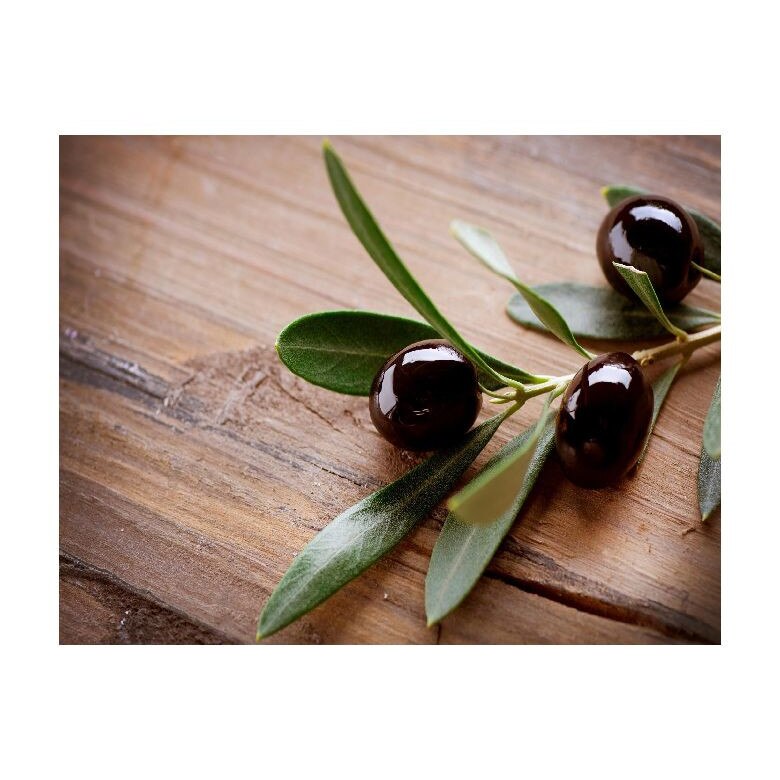 Tablou Canvas Natura, Dimensiunea 100x70 nat1966