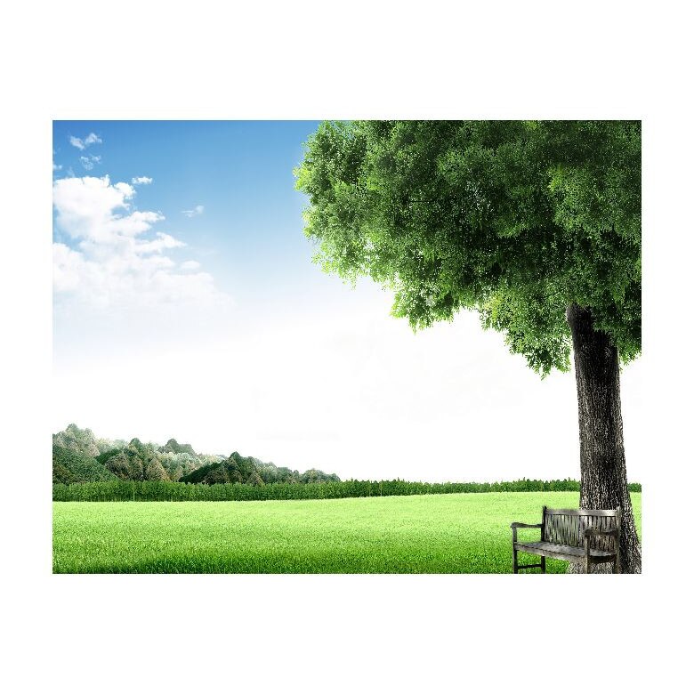 Tablou Canvas Natura, Dimensiunea 100x70 nat1989