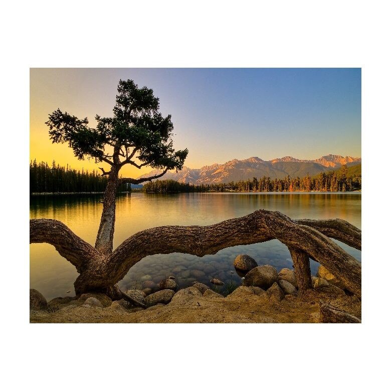 Tablou Canvas Natura, Dimensiunea 100x70 nat1964