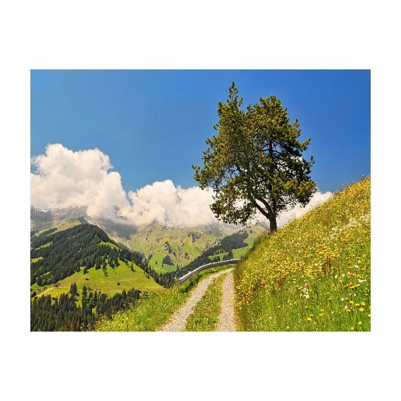 Tablou Canvas Natura, Dimensiunea 100x70 nat1994