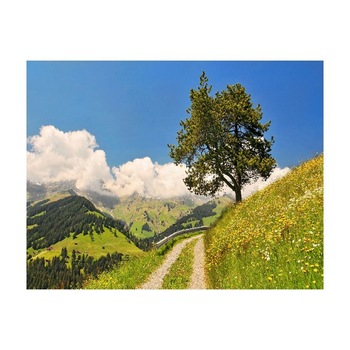 Tablou Canvas Natura, Dimensiunea 100x70 nat1994 Tablou Canvas Natura, Dimensiunea 100x70 nat1994