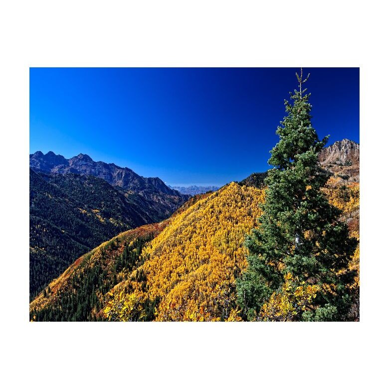 Tablou Canvas Natura, Dimensiunea 100x70 nat2075