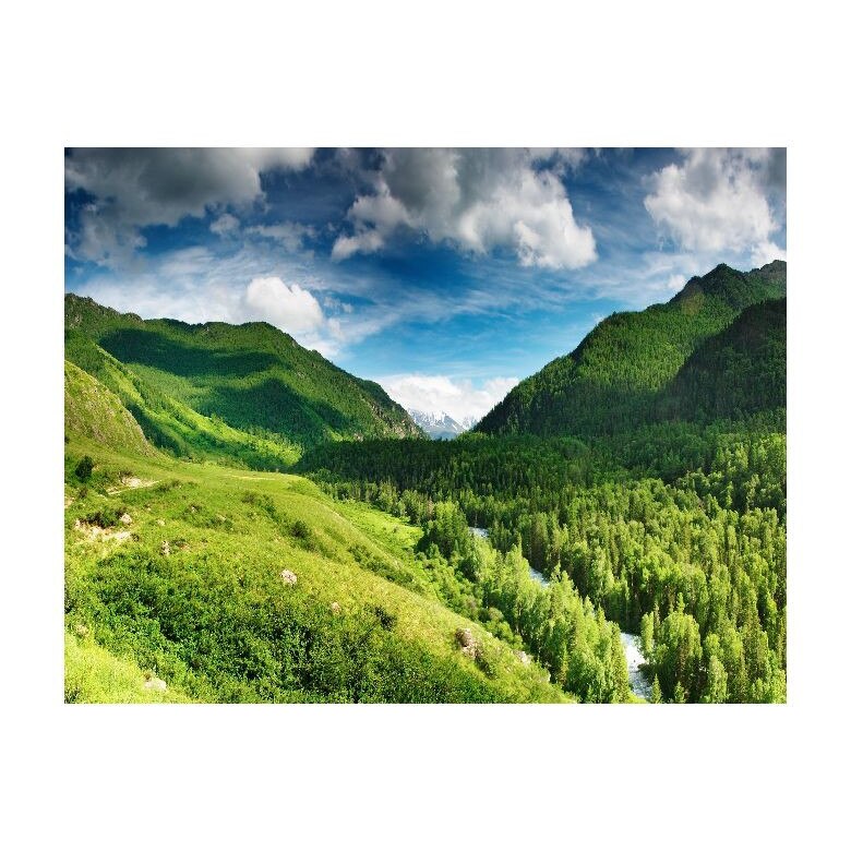 Tablou Canvas Natura, Dimensiunea 100x70 nat1958