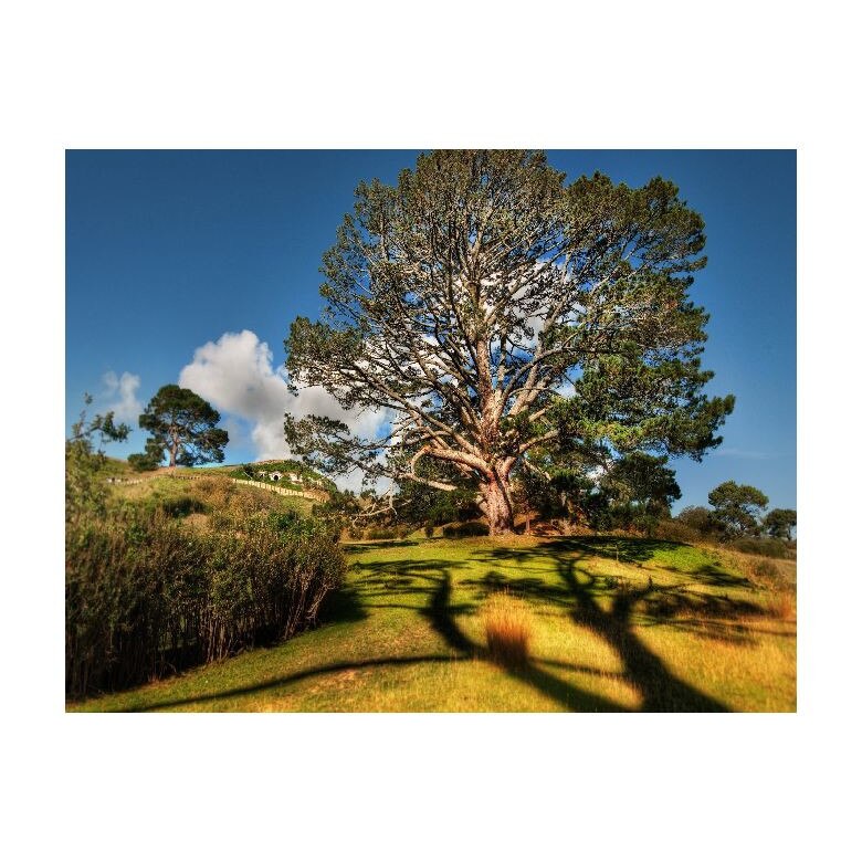 Tablou Canvas Natura, Dimensiunea 100x70 nat2069