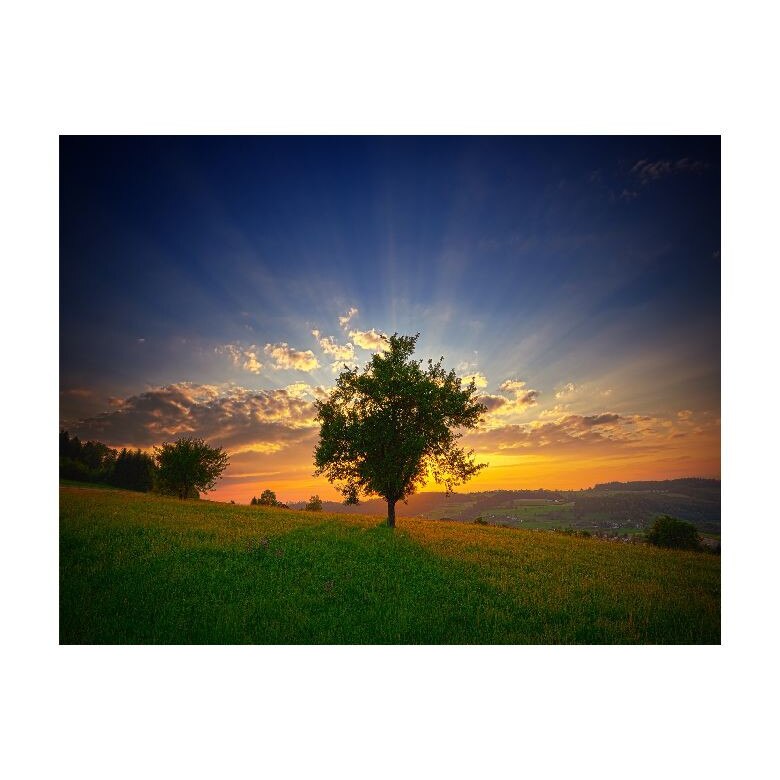 Tablou Canvas Natura, Dimensiunea 100x70 nat1953