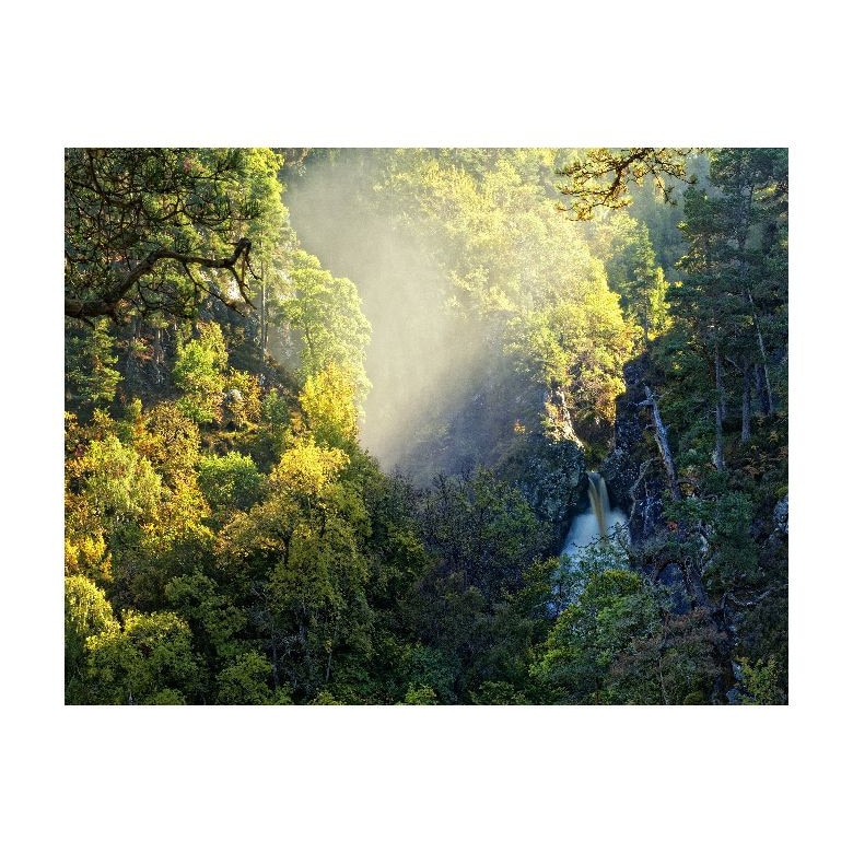 Tablou Canvas Natura, Dimensiunea 100x70 nat2003