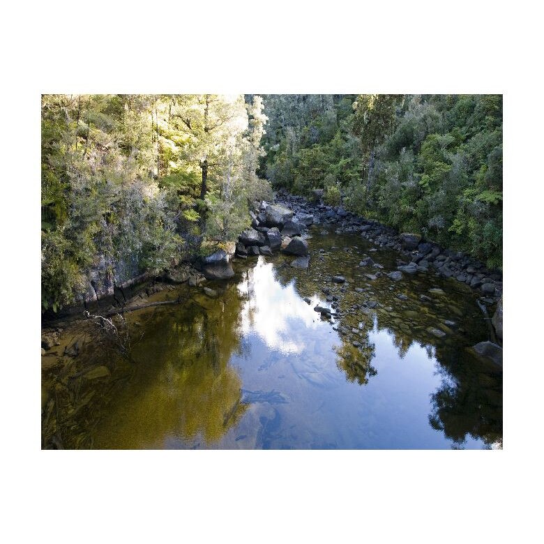 Tablou Canvas Natura, Dimensiunea 100x70 nat2004