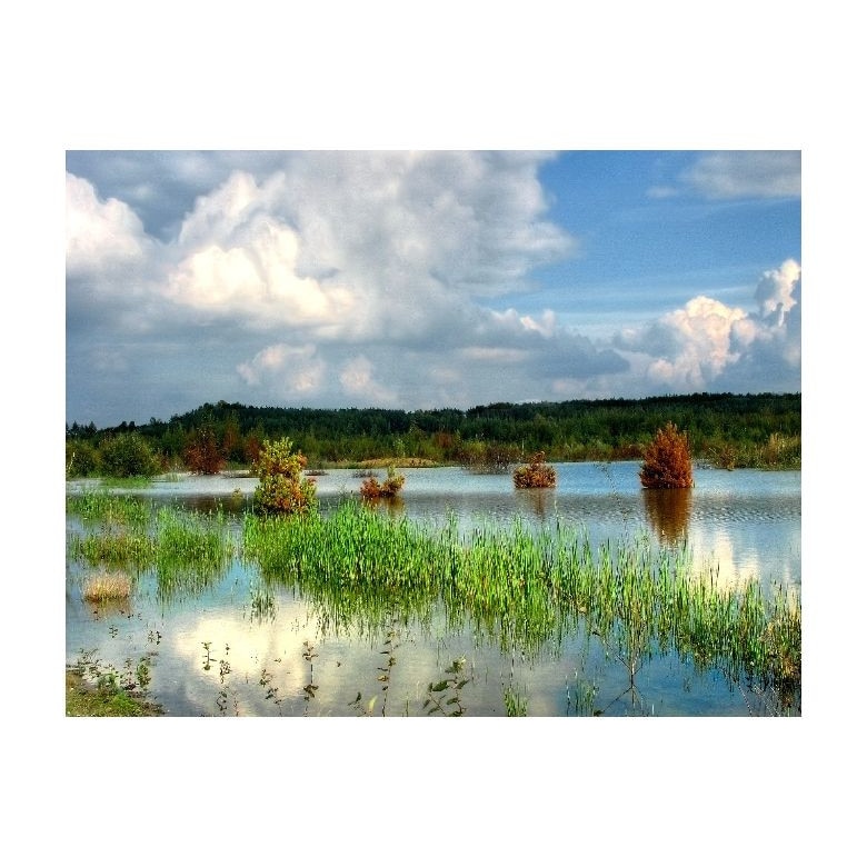 Tablou Canvas Natura, Dimensiunea 100x70 nat1969