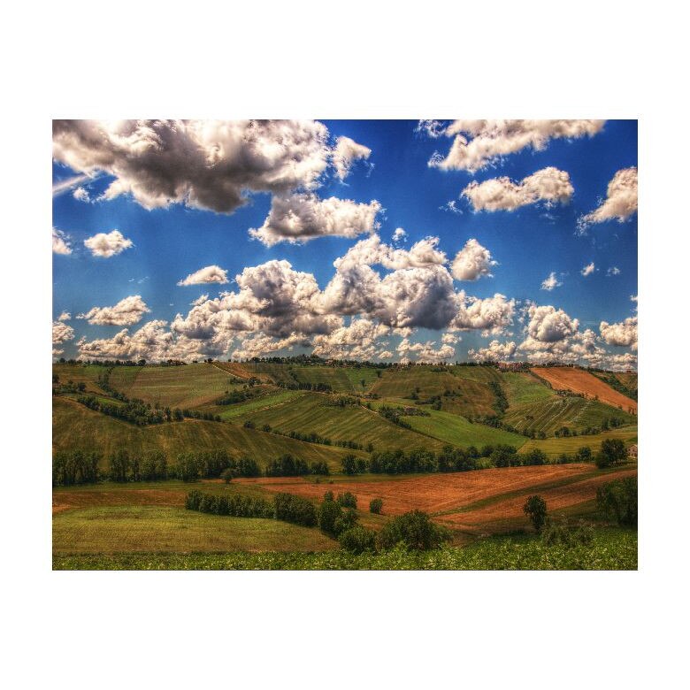 Tablou Canvas Natura, Dimensiunea 100x70 nat2039