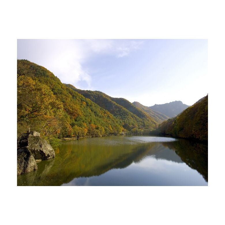 Tablou Canvas Natura, Dimensiunea 100x70 nat2018