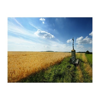 Tablou Canvas Natura, Dimensiunea 100x70 nat2083 Tablou Canvas Natura, Dimensiunea 100x70 nat2083