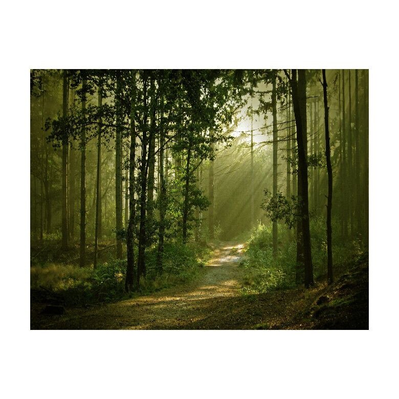Tablou Canvas Natura, Dimensiunea 100x70 nat2138