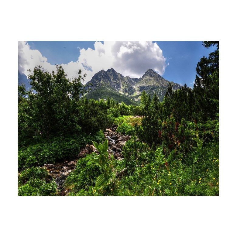 Tablou Canvas Natura, Dimensiunea 100x70 nat2166