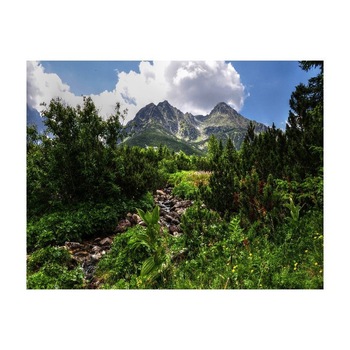 Tablou Canvas Natura, Dimensiunea 100x70 nat2166 Tablou Canvas Natura, Dimensiunea 100x70 nat2166