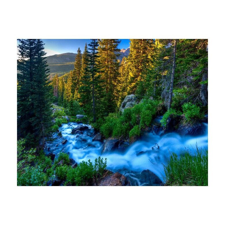 Tablou Canvas Natura, Dimensiunea 100x70 nat2140