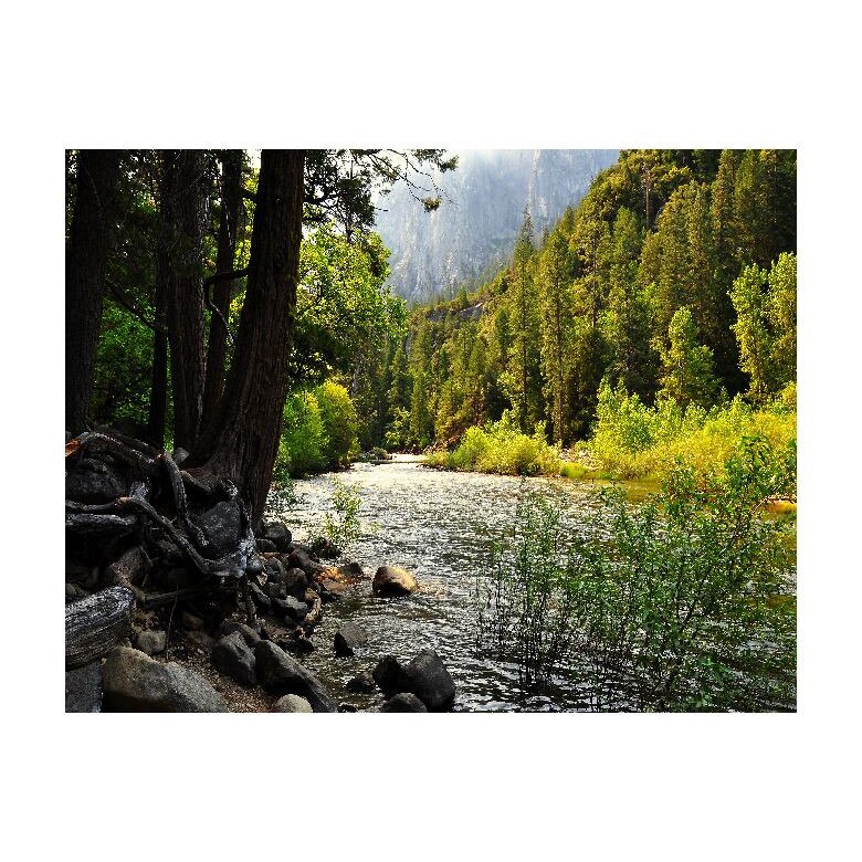 Tablou Canvas Natura, Dimensiunea 100x70 nat2115