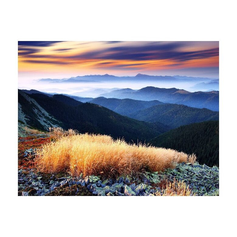 Tablou Canvas Natura, Dimensiunea 100x70 nat2139