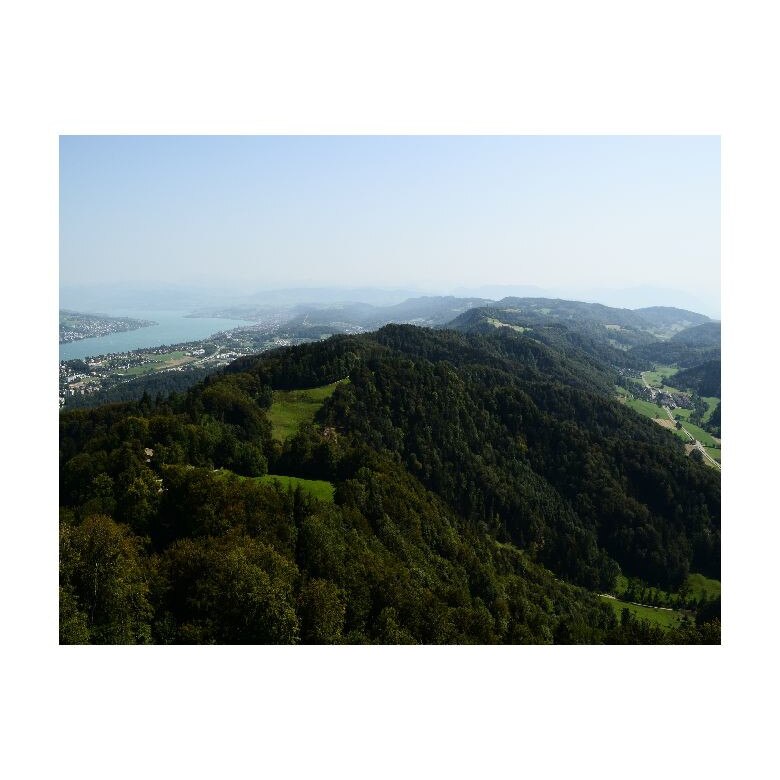 Tablou Canvas Natura, Dimensiunea 100x70 nat2179