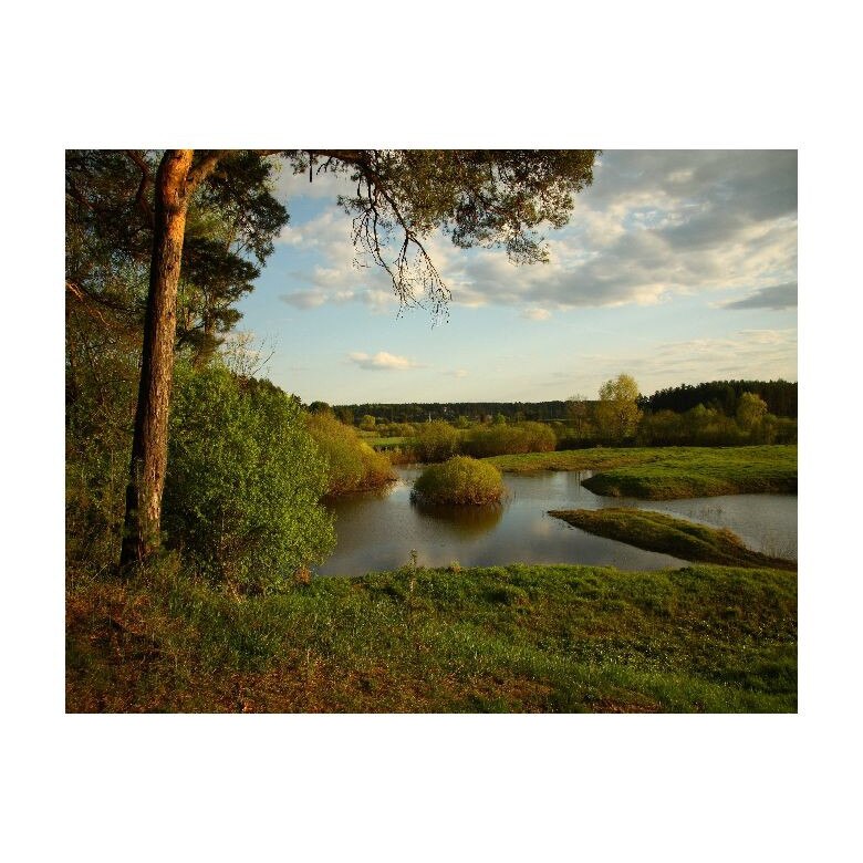 Tablou Canvas Natura, Dimensiunea 100x70 nat2157