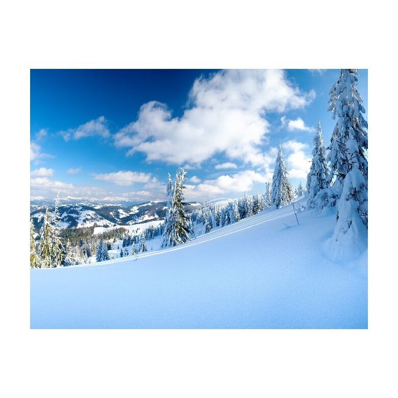 Tablou Canvas Natura, Dimensiunea 100x70 nat2135