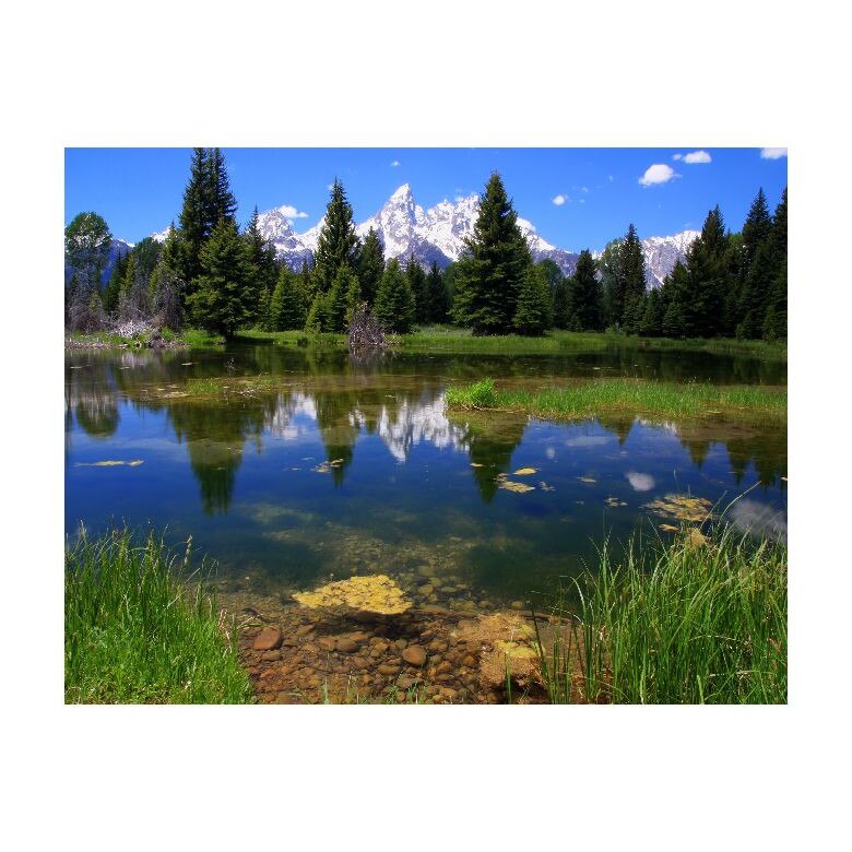 Tablou Canvas Natura, Dimensiunea 100x70 nat2159