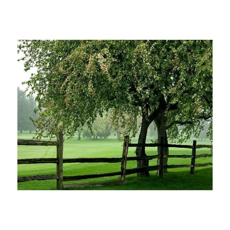 Tablou Canvas Natura, Dimensiunea 100x70 nat2119