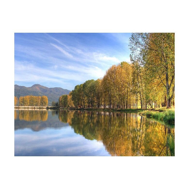 Tablou Canvas Natura, Dimensiunea 100x70 nat2121